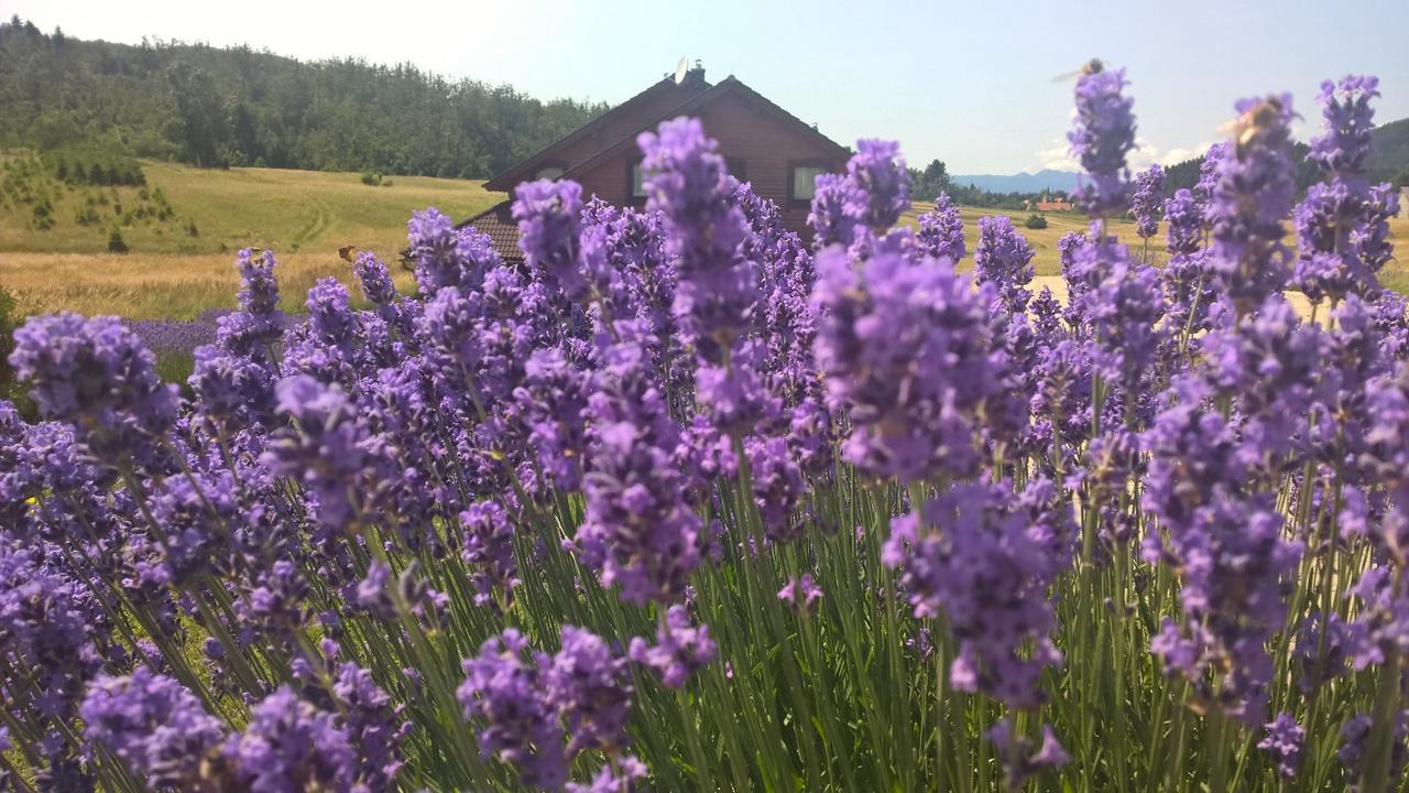 Boutique B&B Japodi Mrkopalj Kültér fotó